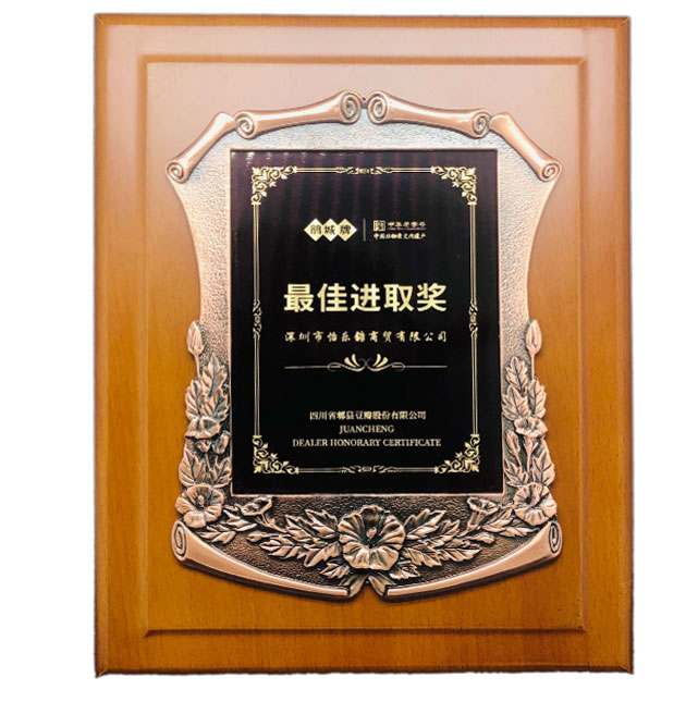 鹃城豆瓣-最佳进取奖